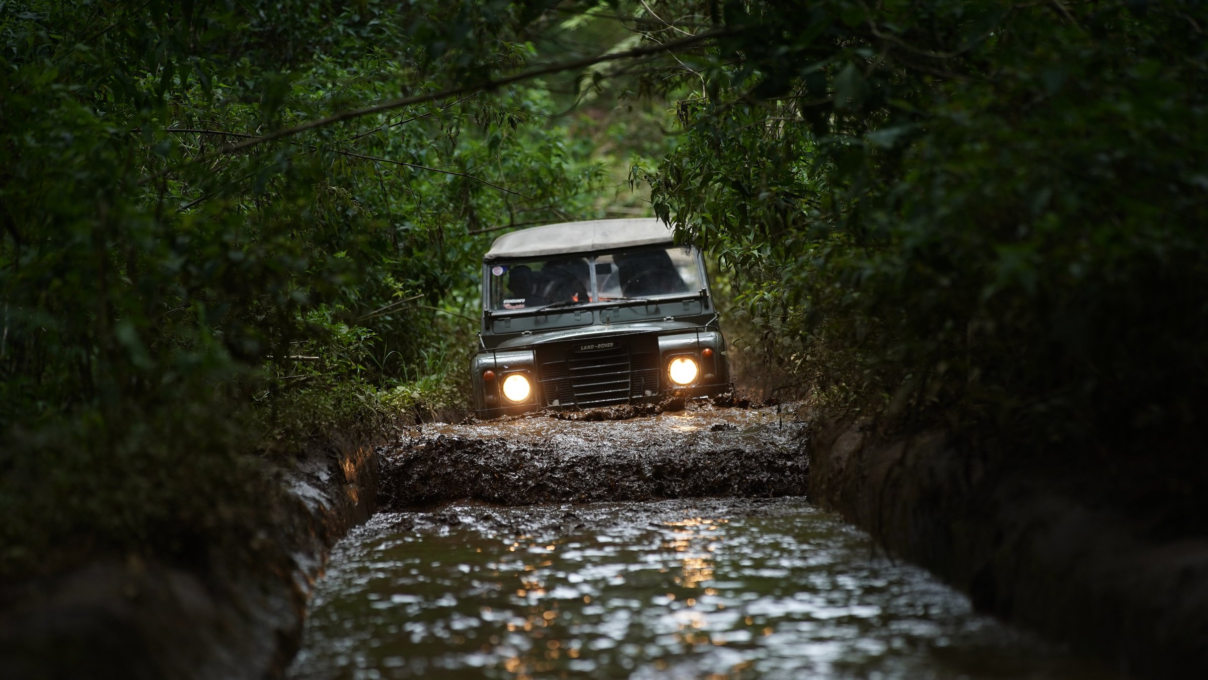 Truck Driving Off Road in Forest